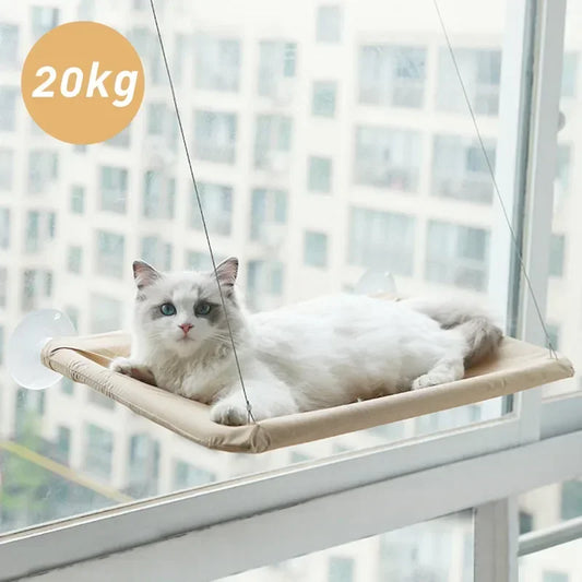 Cat's Sky Haven: Hammock Hangout